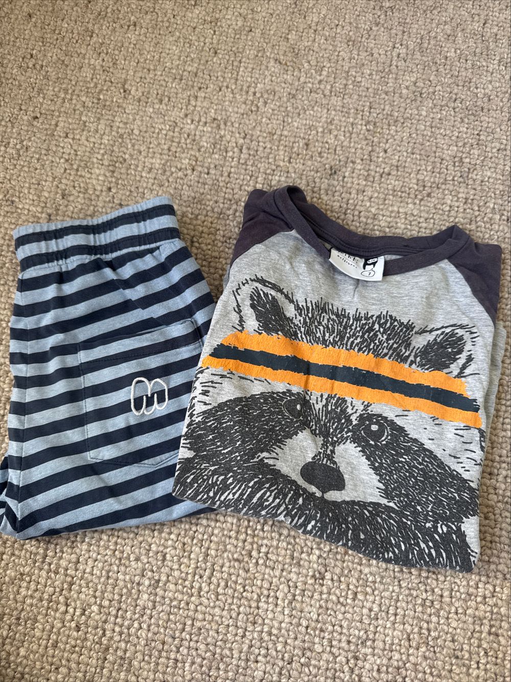 Minti Striped Shorts And Raccoon Top