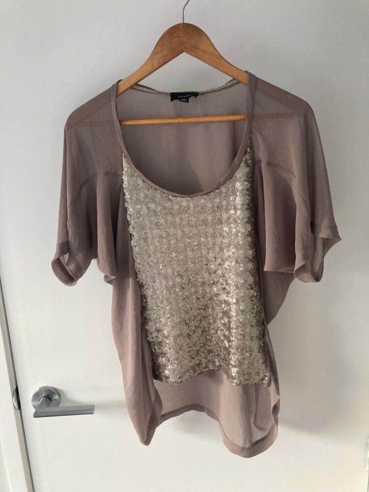 Moochi Taupe Sequin Top Size 10