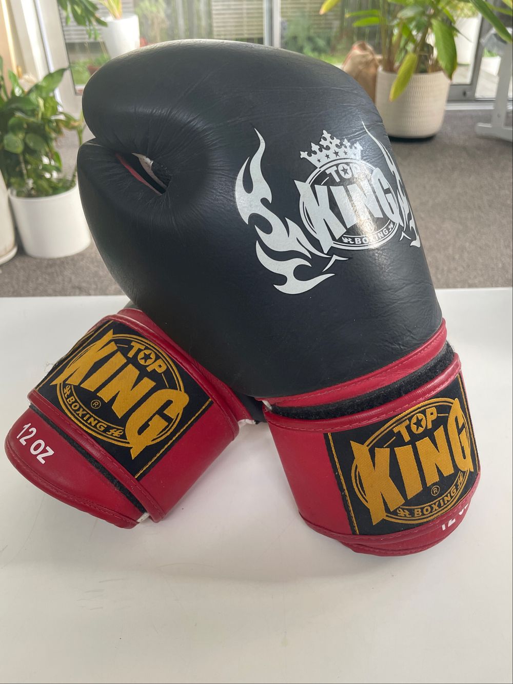 Muay Thai Boxing Gloves (used but good condition)