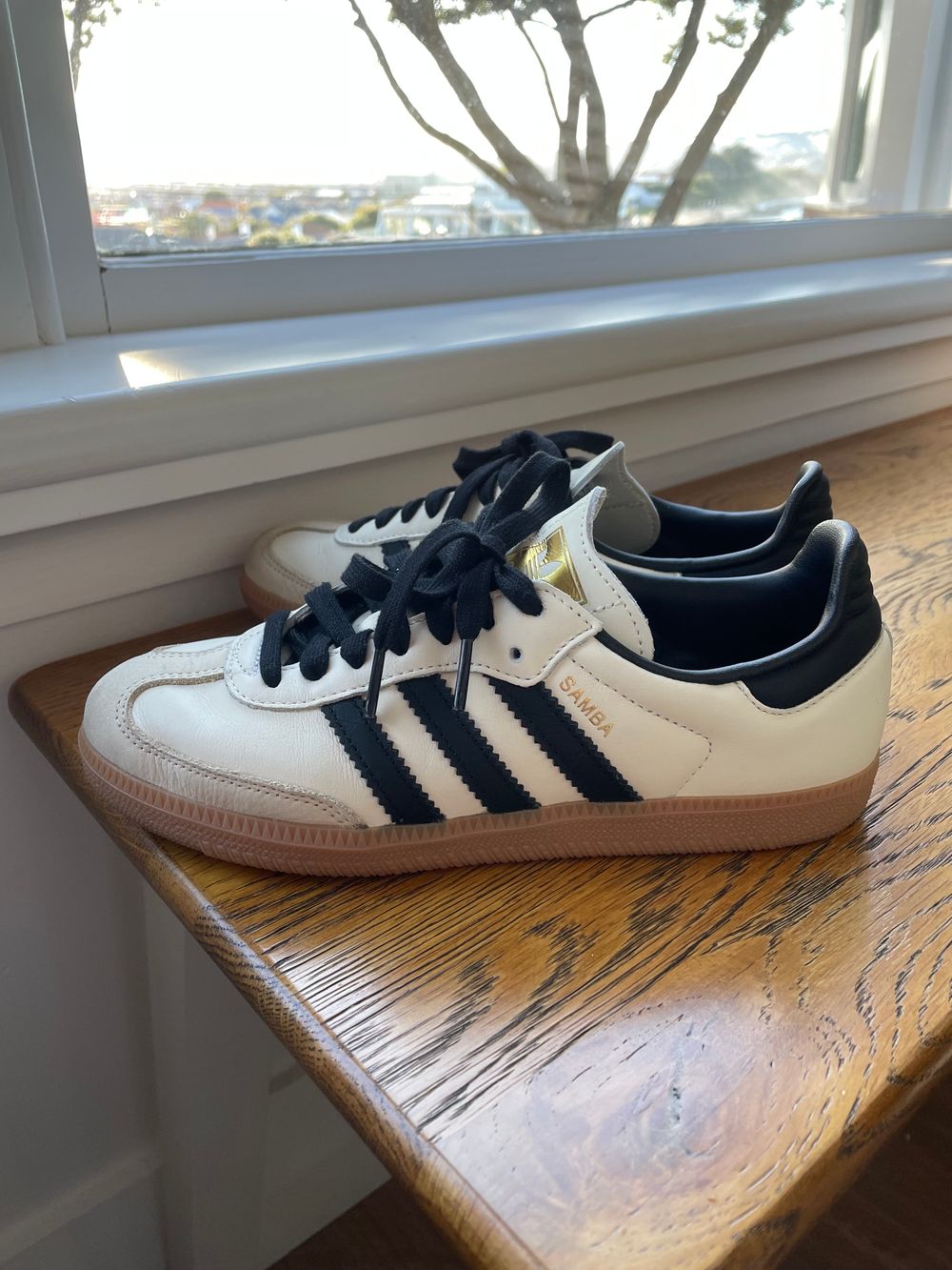 adidas gazelle silver green womens Women's Adidas SAMBA ADV (White/Black)  ShoeGrab