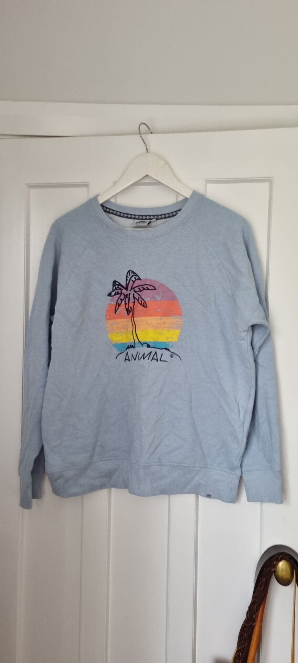 Animal Blue Palm Tree Graphic Jumper 12 - 14