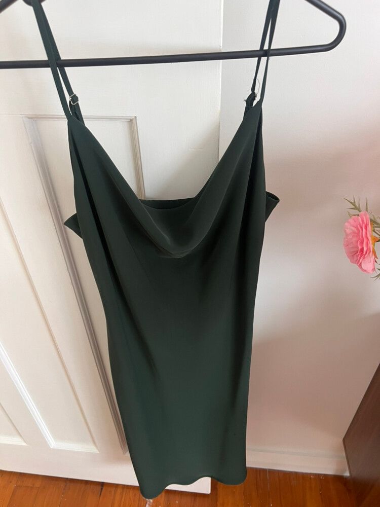 Pagani - Pagani Green Dress on Designer Wardrobe Pagani - Pagani Green Dress on Designer Wardrobe
