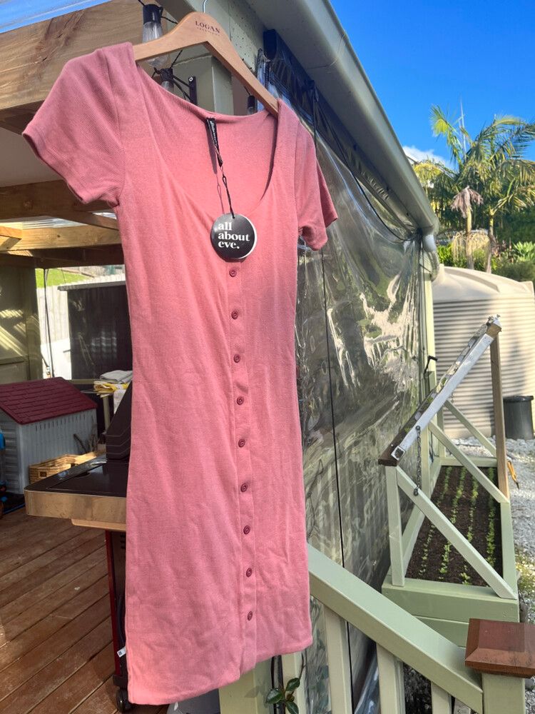 All About Eve Pink Button Down Dress