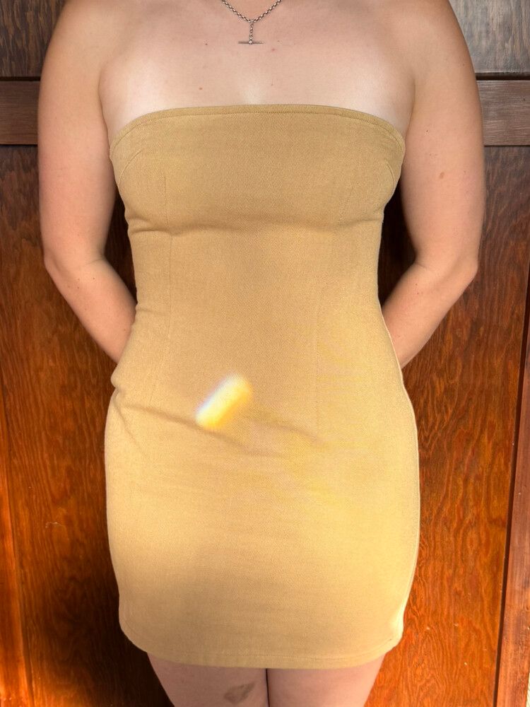 lioness Delilah Mini Dress - BNWT