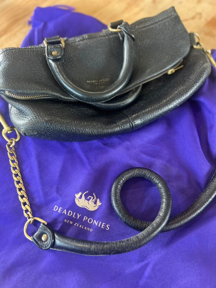 Deadly Ponies Mr Robin