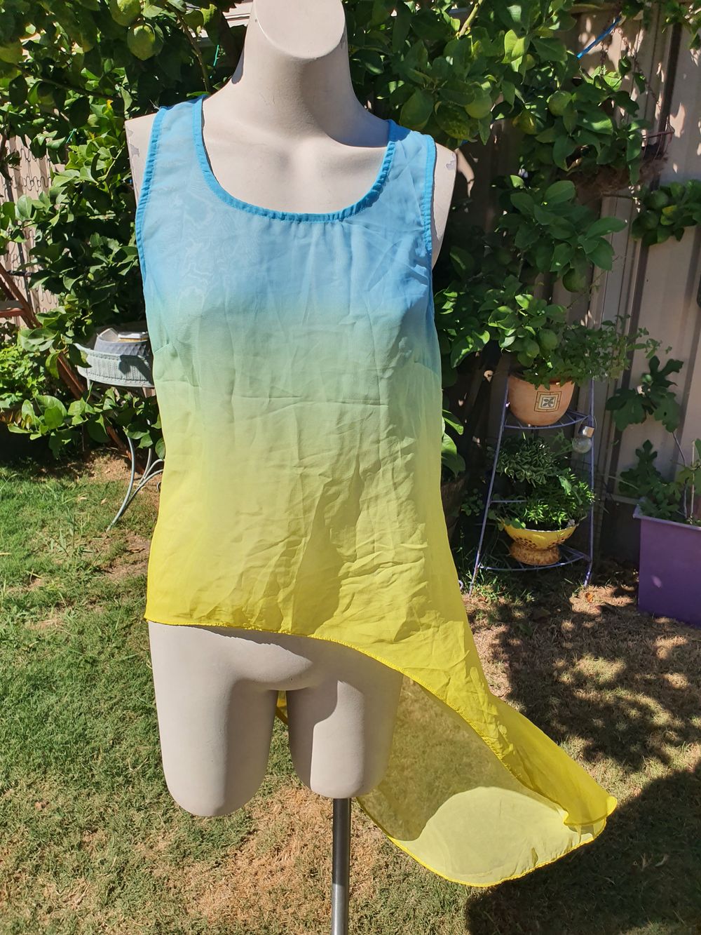 Ombre top