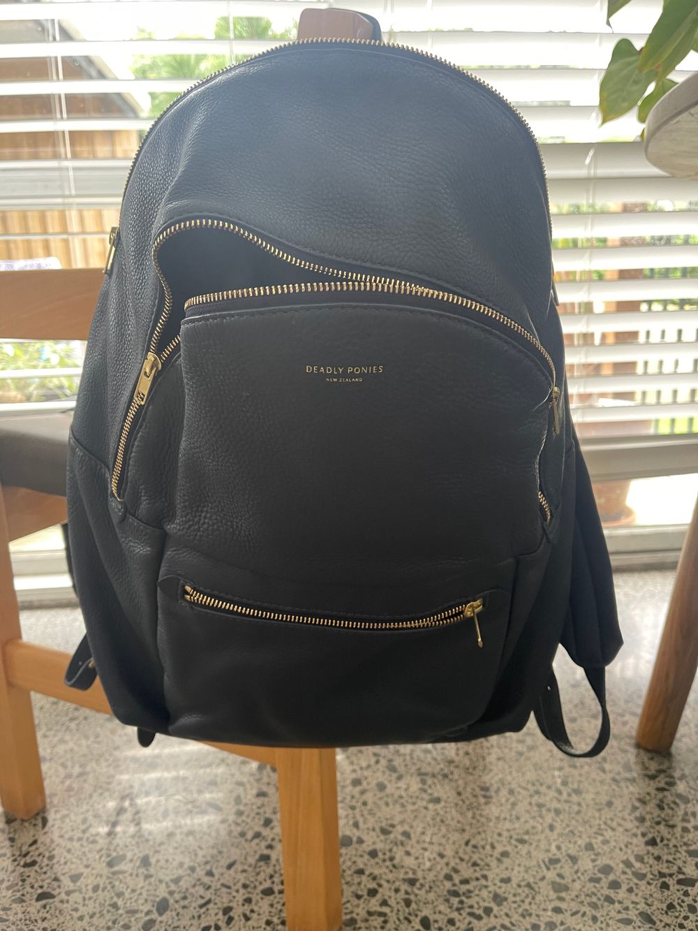 ioffer north face backpack North Face Dyno BackPack with pouch