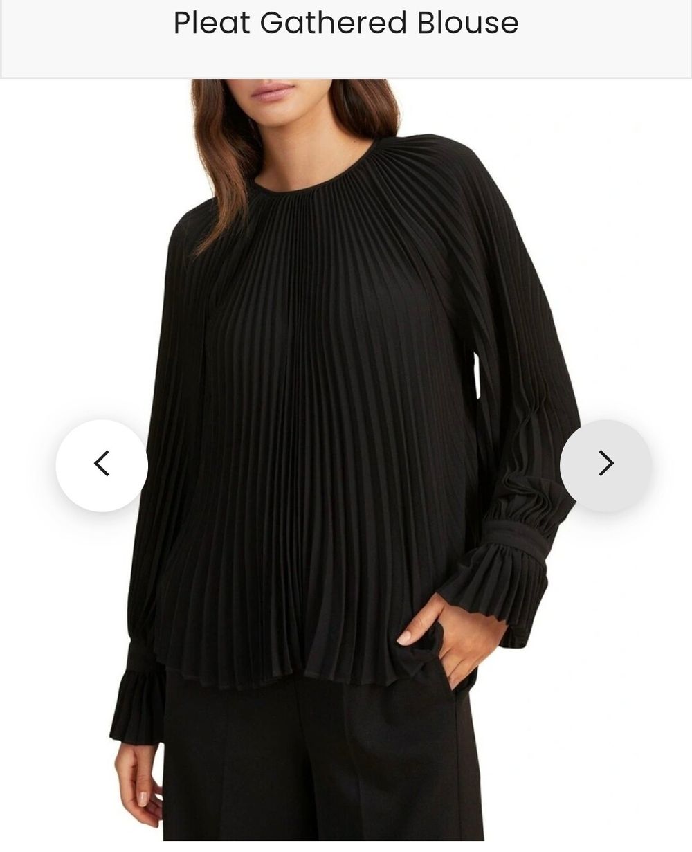 Seed pleated blouse