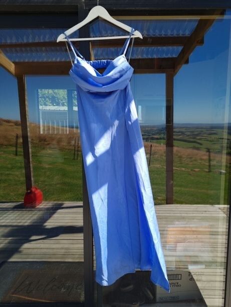 Showpo Sophie Maxi Dress