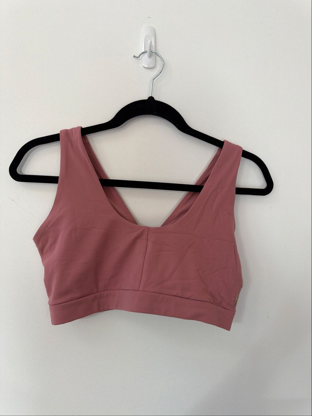 gym shark Whitney Simmons pink crop