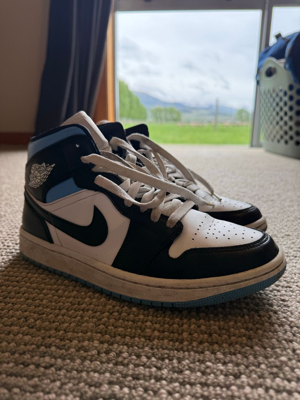Nike Air Jordan 1 Mids