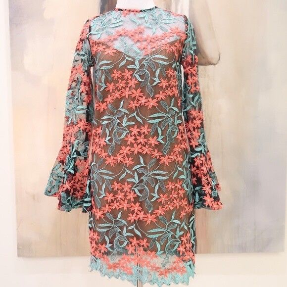 Elliatt Sheer Embroidered Mini Dress