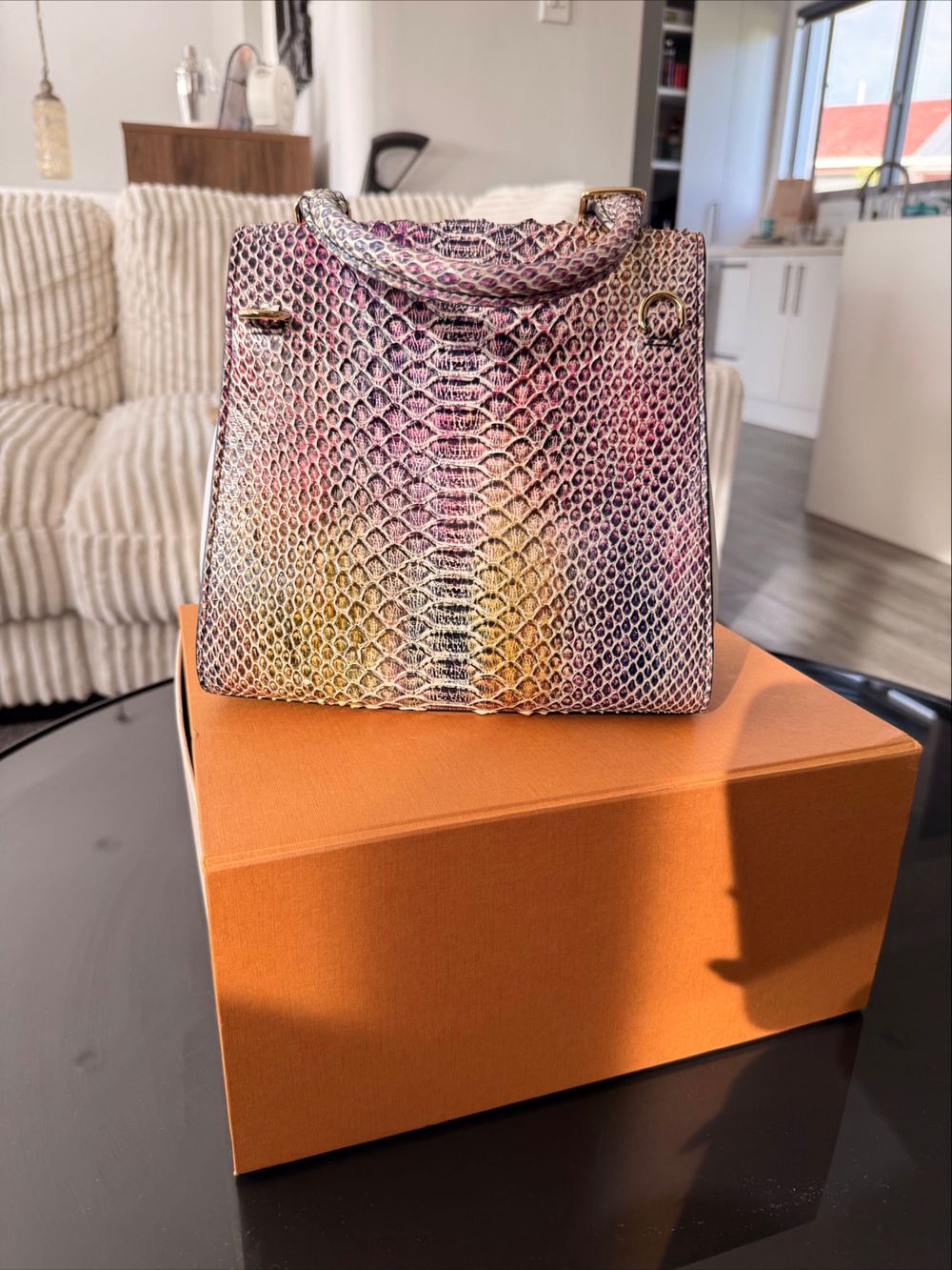 Louis Vuitton Rainbow Python LV Arch PM