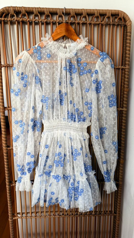 best lipstick color for blue dress Botanical Ballads Trapeze Tiered Dress main image 1
