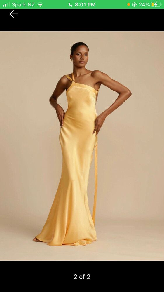 Arcina Ori Monique Dress / Gown