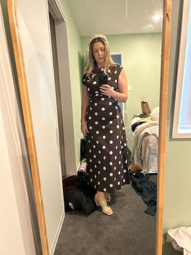 Witchery Brown Polka Dot Dress