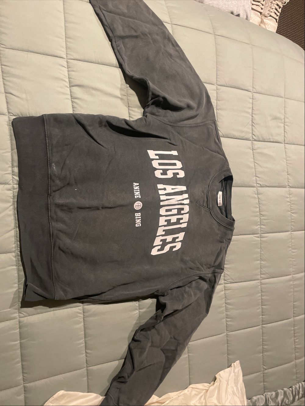 Anine Bing Ramona Sweatshirt - Washed Black