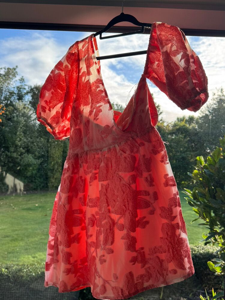 Showpo Mini Dress Size 10