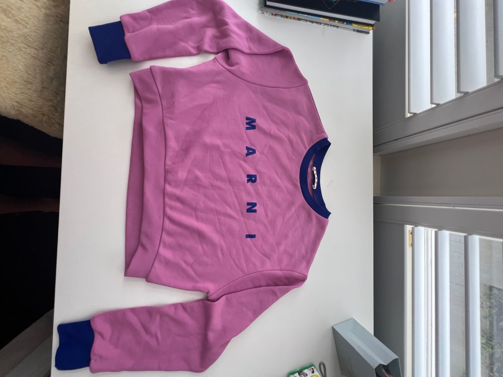 Marni pink and blue sweatshirt