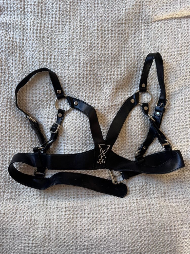 Black Leather Harness
