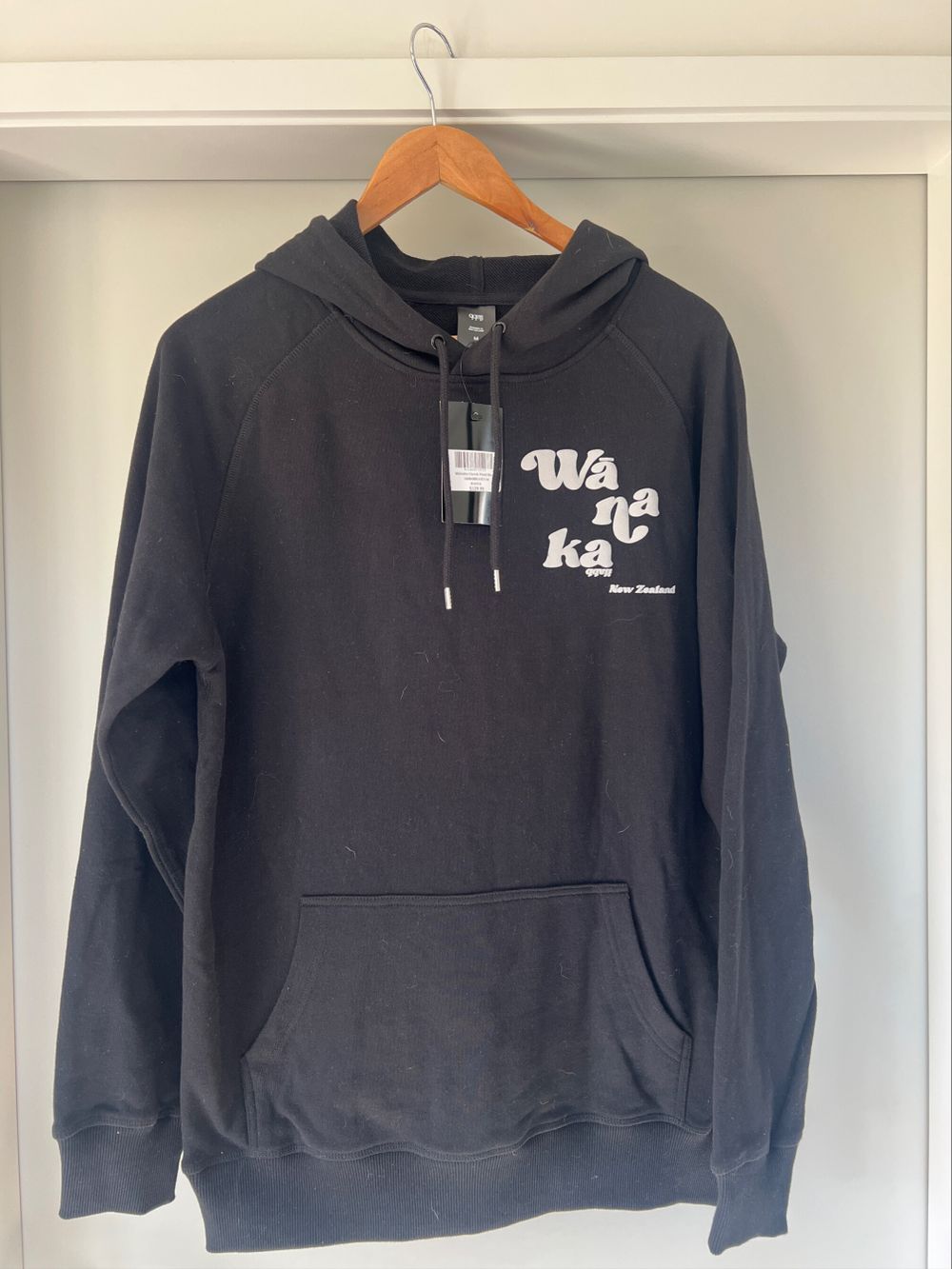 ilabb Hoodie