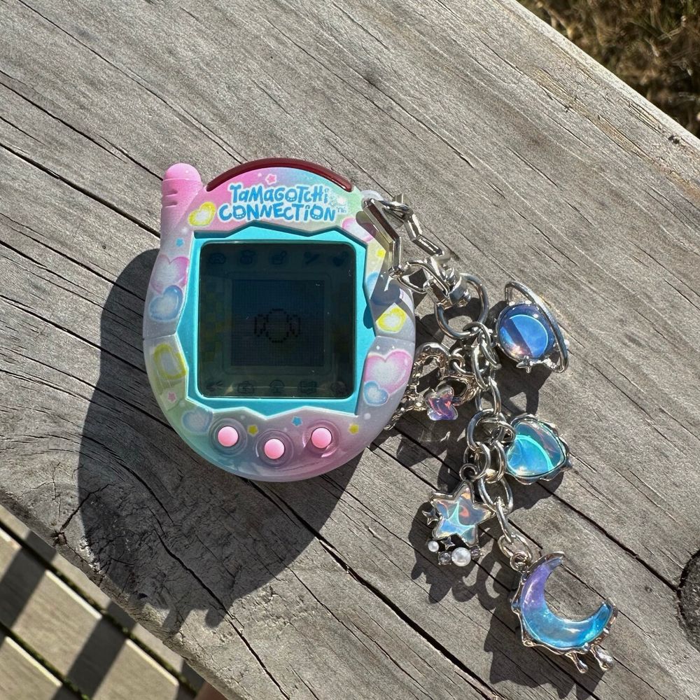 V3 tamagotchi connection