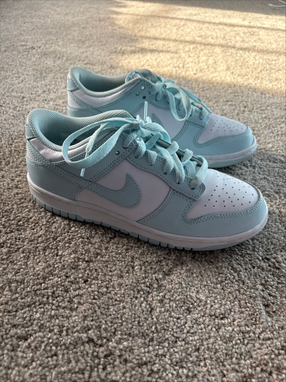 Nike dunk blue
