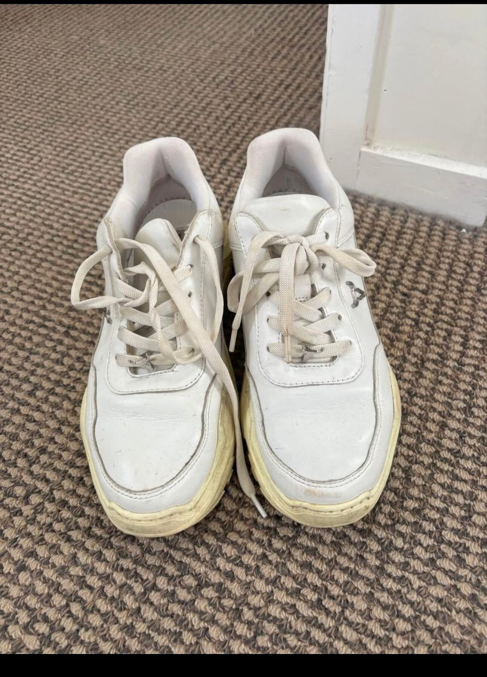 Carte sneakers