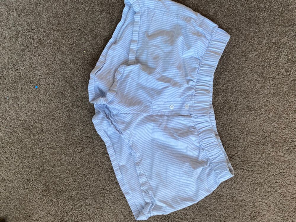 Brandy Melville Blue Striped Short