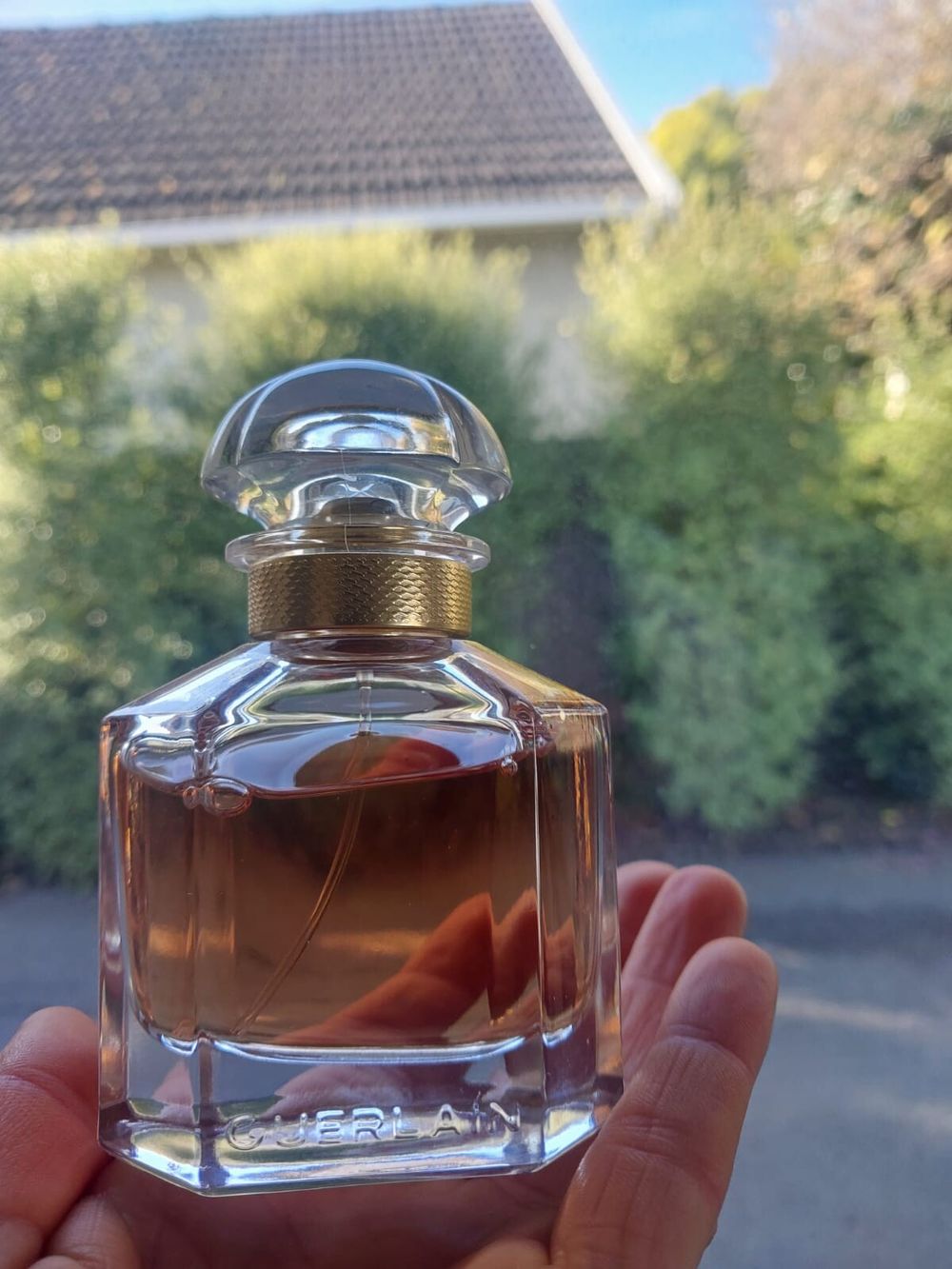 Mon Guerlain eau de Parfum