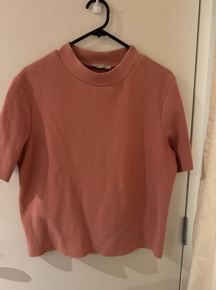 Zara Pink Top