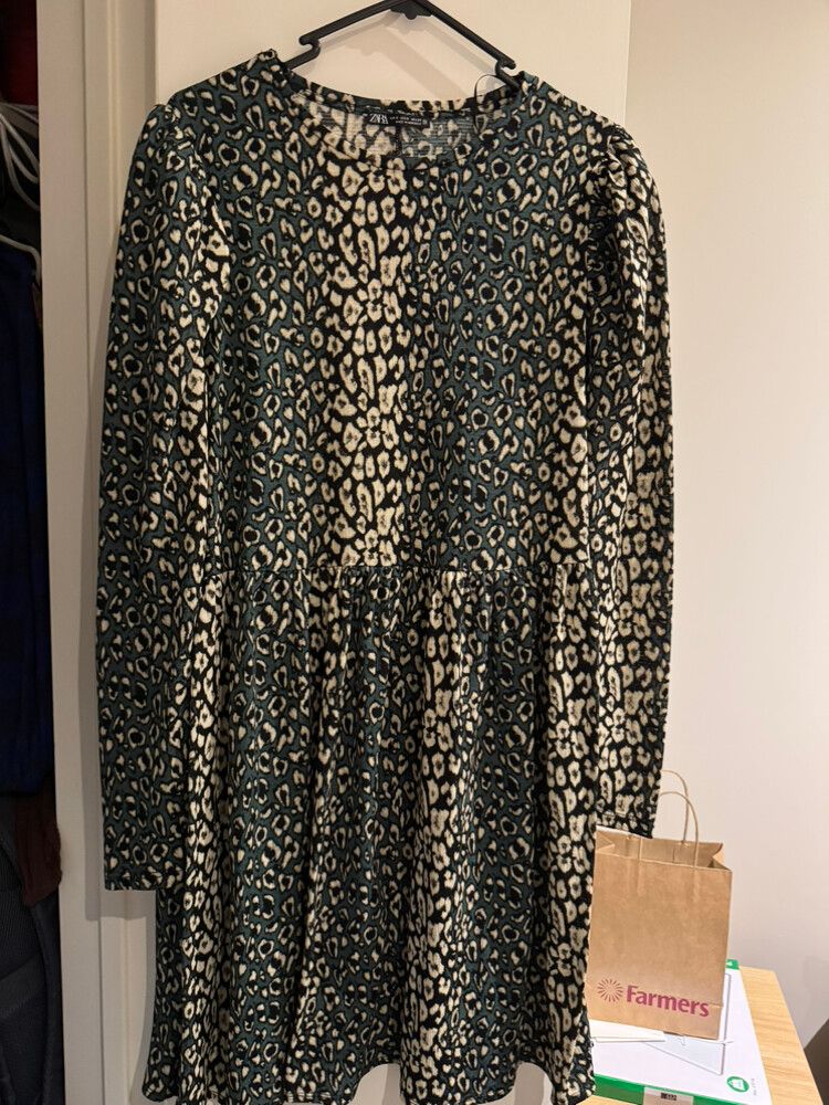 Zara Animal Print Dress