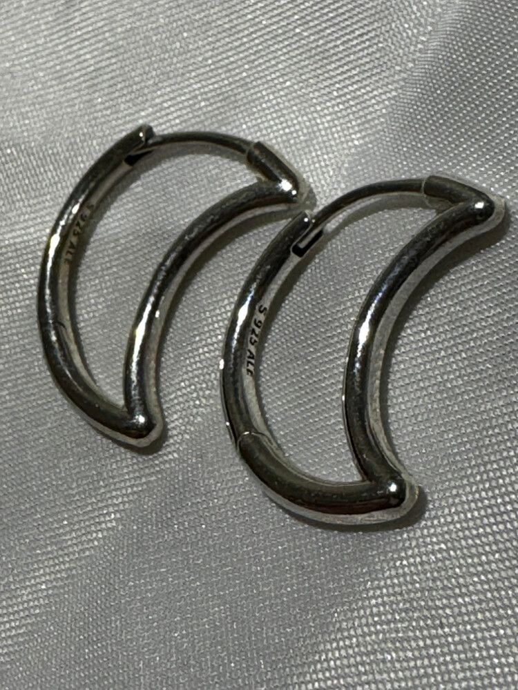Silver Hoop Earrings- Pandora
