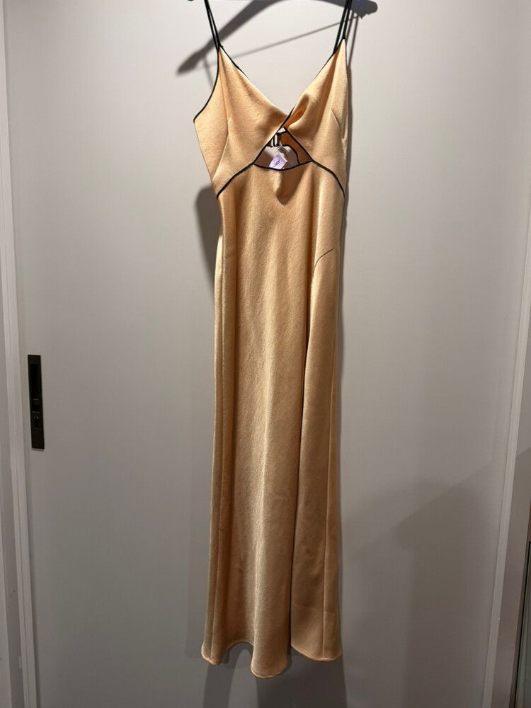 Gold Bec and Bridge dress