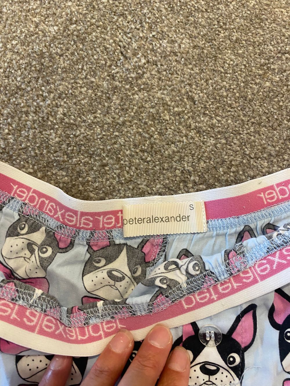 Peter Alexander Blue Dog Print Shorts