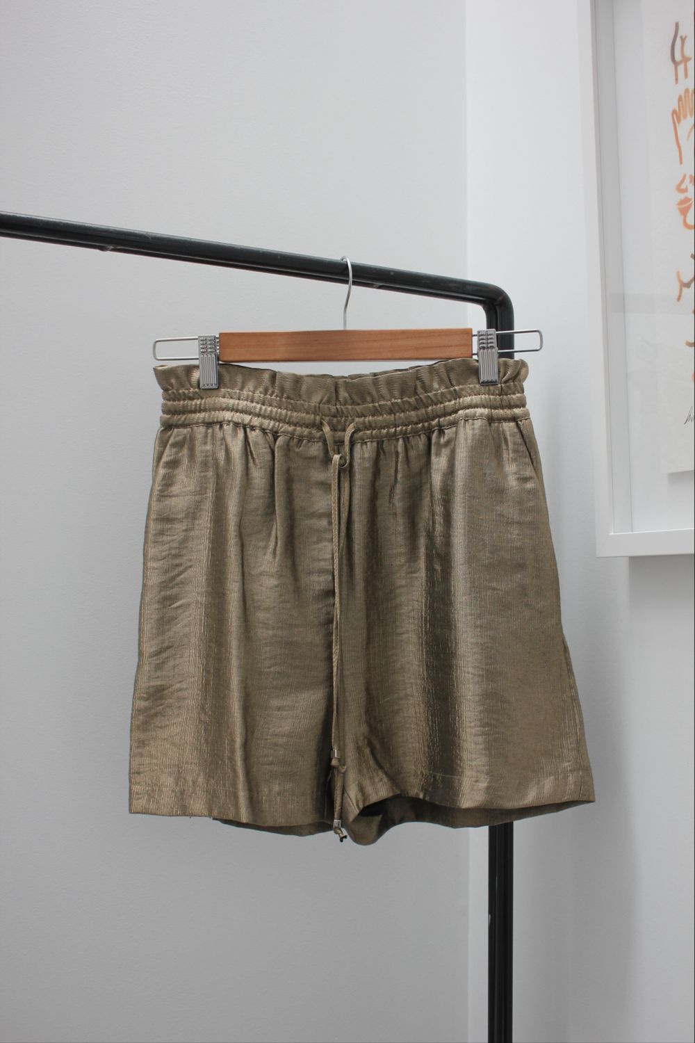 Zara Metallic Shorts