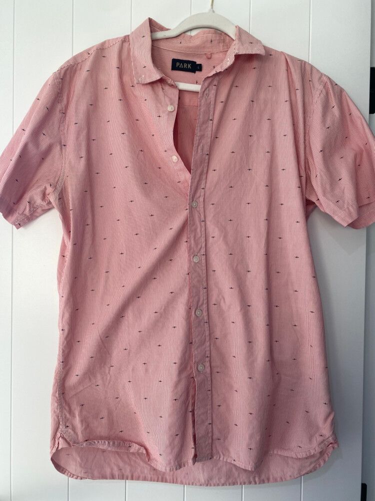Stripped Shirt