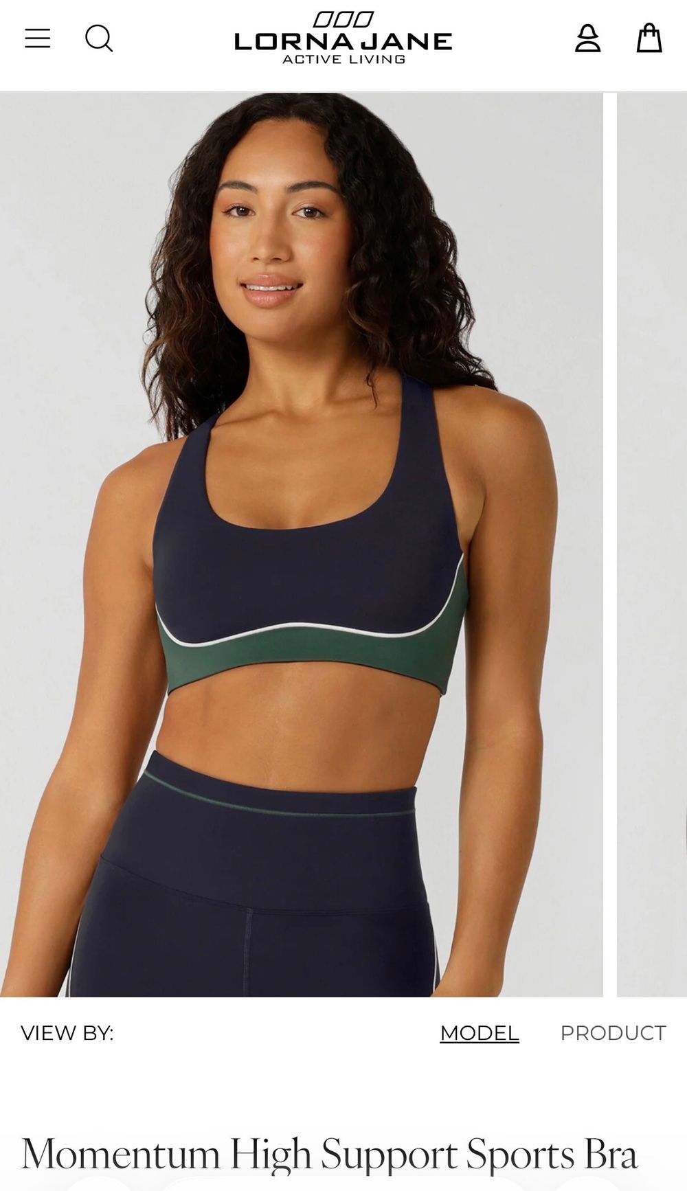 Lorna Jane Momentum High Support Sports Bra - M