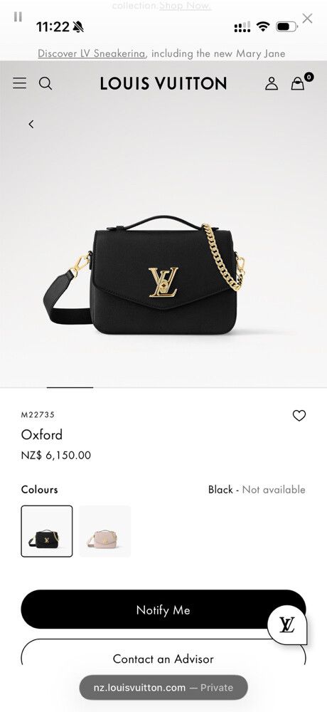 Louis Vuitton Oxford Handbag