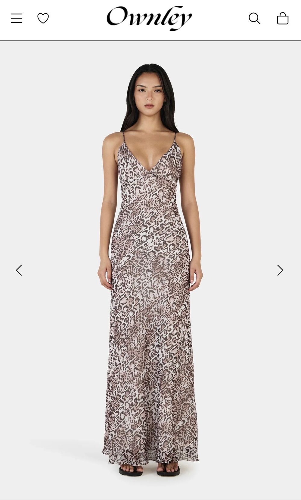 Leopard maxi dress