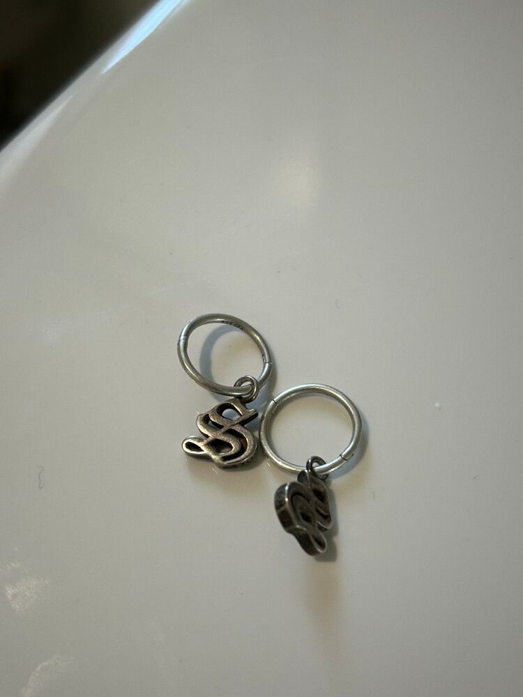 Stolen Sleeper Earrings