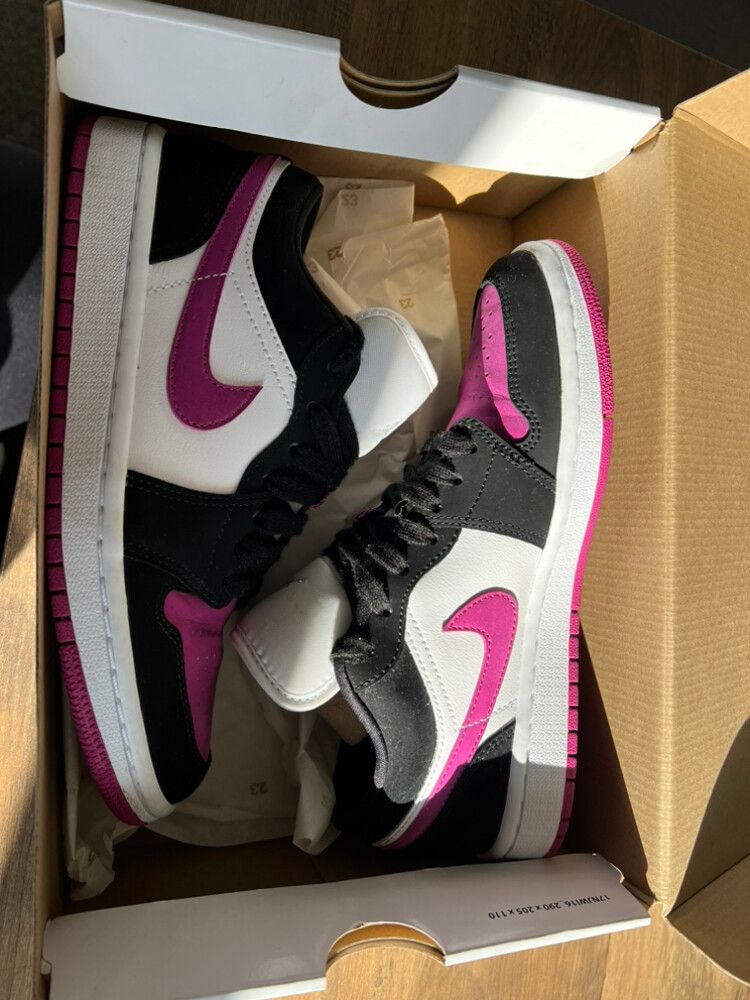 cactus flower jordan