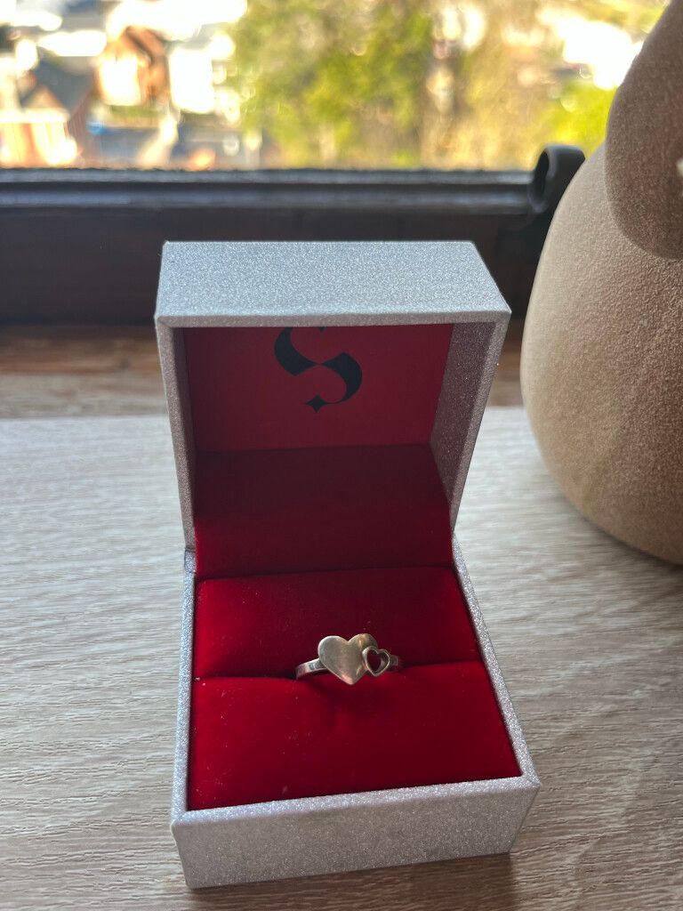 Karen Walker Botanical Ring 2025