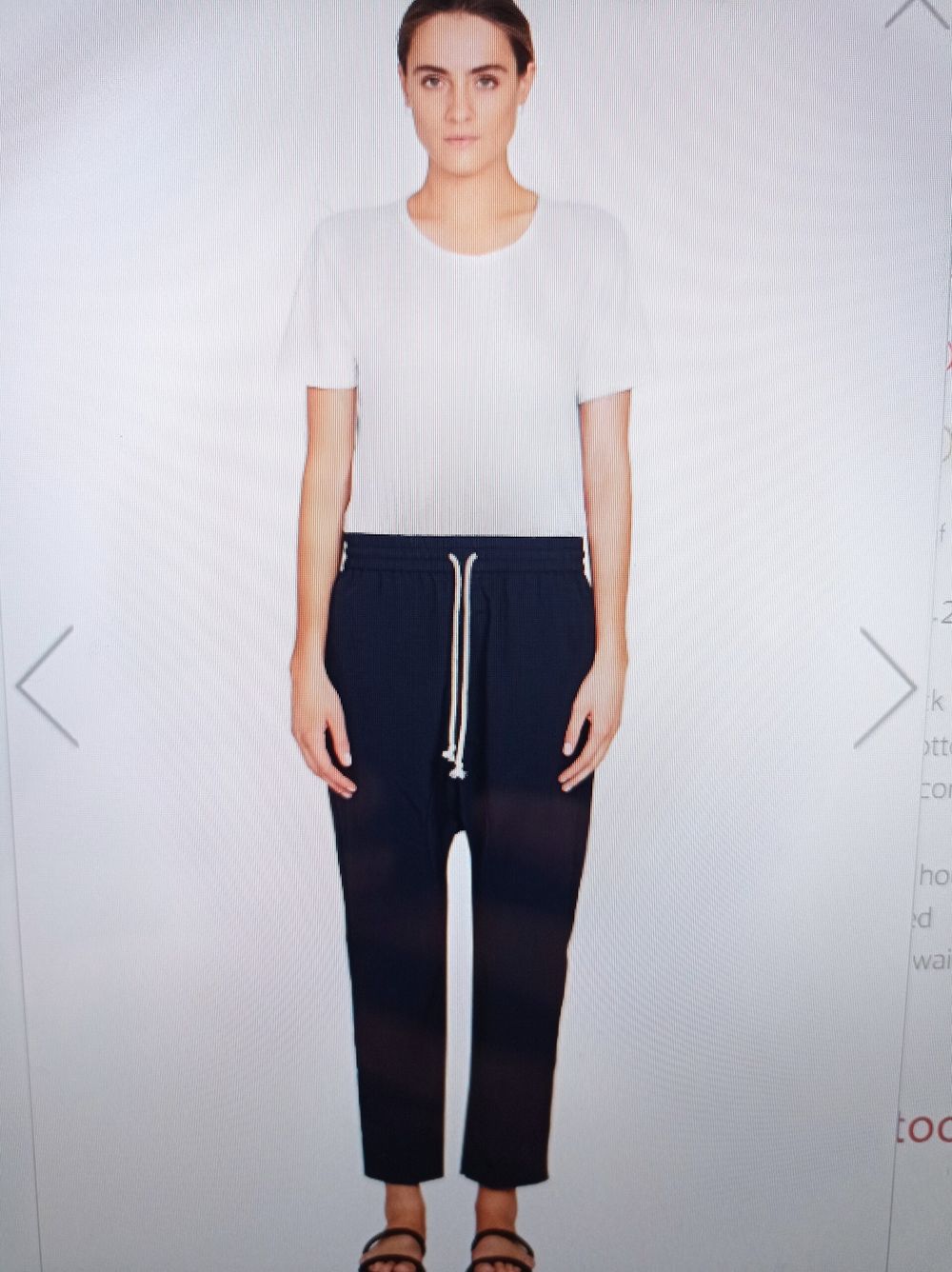 odium pant