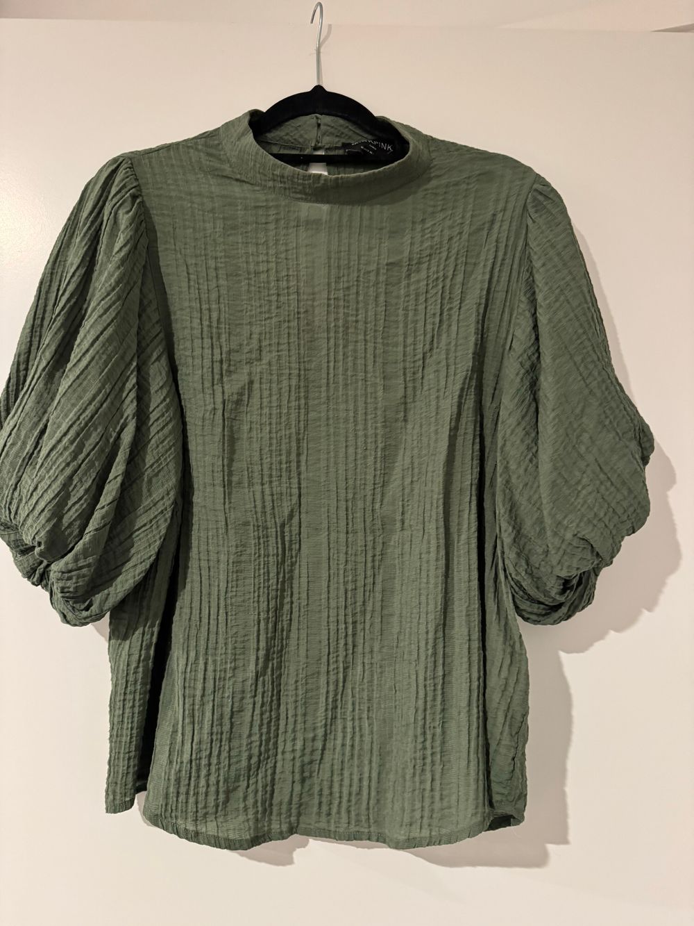 Mink Pink Pink Green Crinkle Textured Blouse With Puff Sleeves