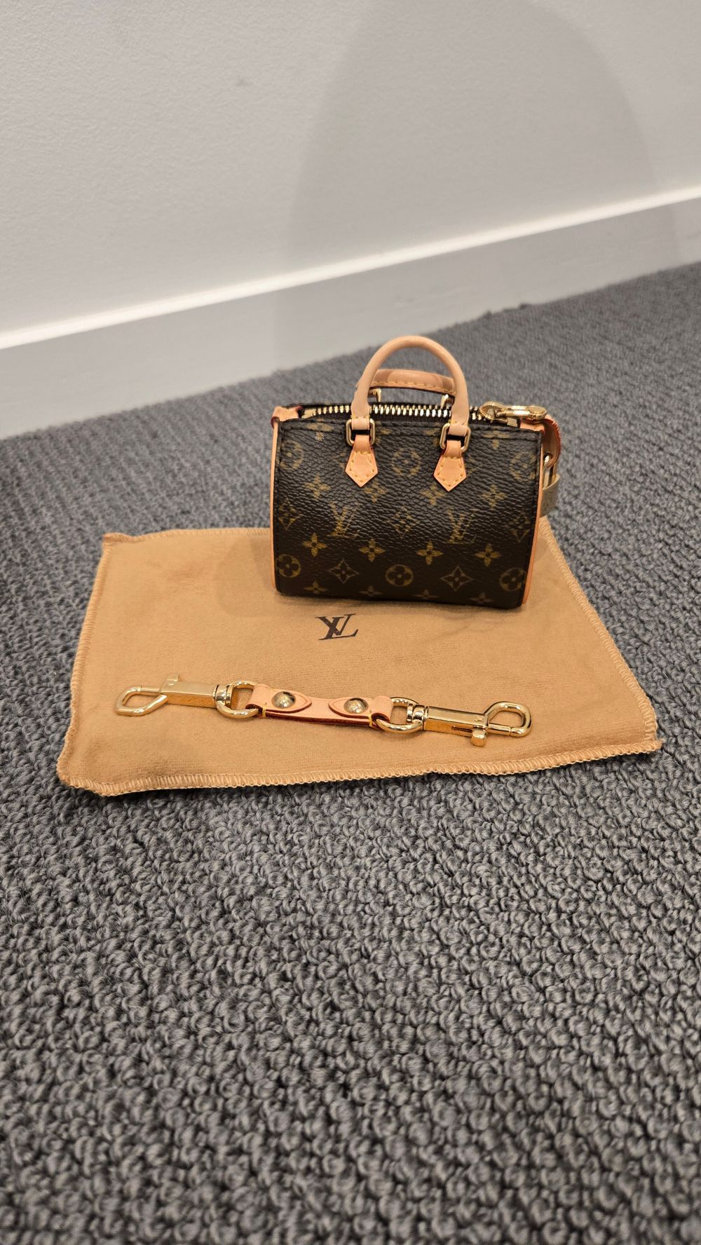 Louis Vuitton Mini Speedy