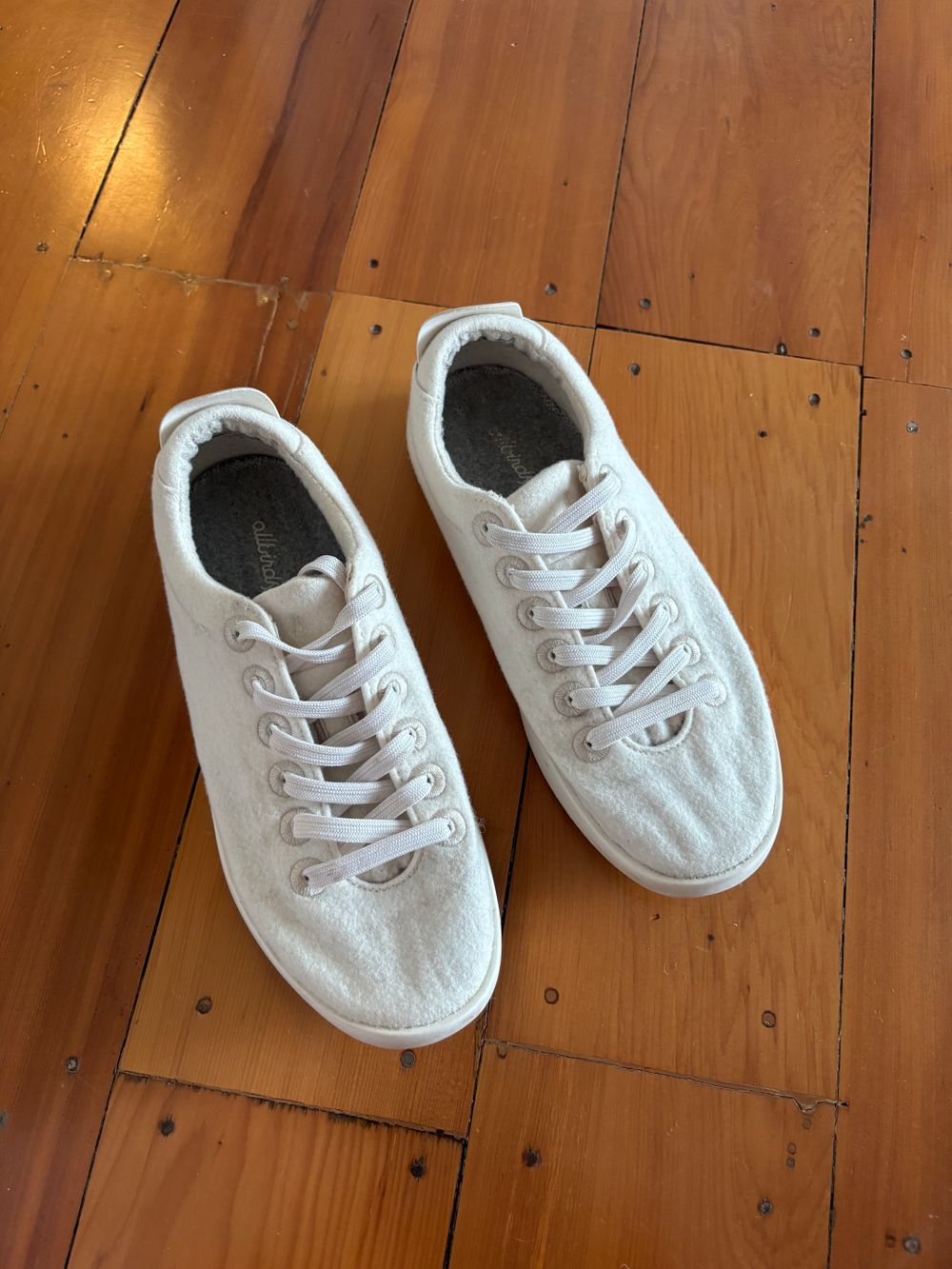 Allbirds Wool Piper White Sneakers