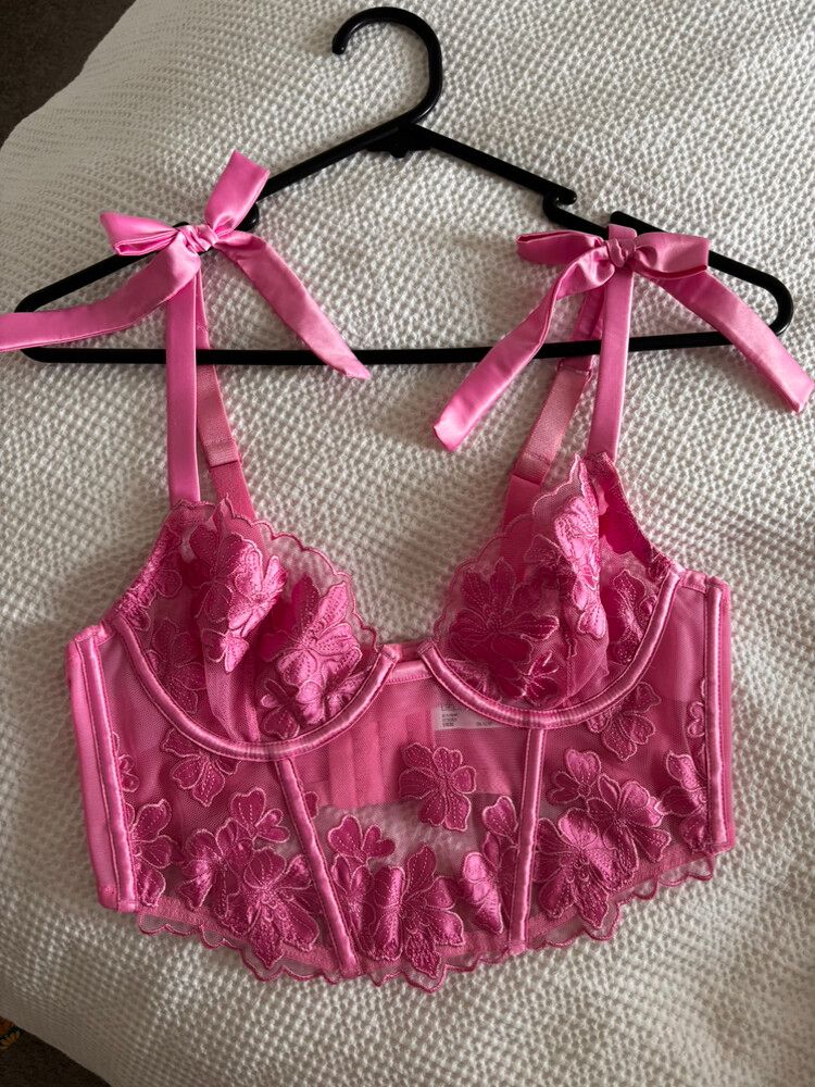 Bras N Things Pink Floral Corset Top