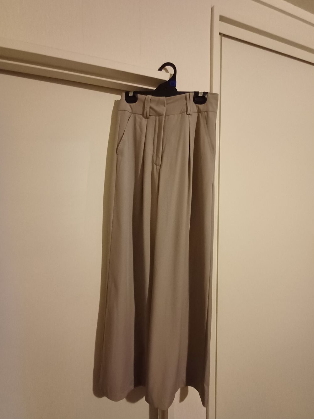Beige Pleated Wide Leg Pants
