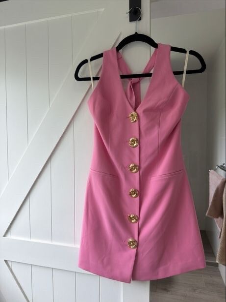 The Wolf Gang Pink Mini Dress